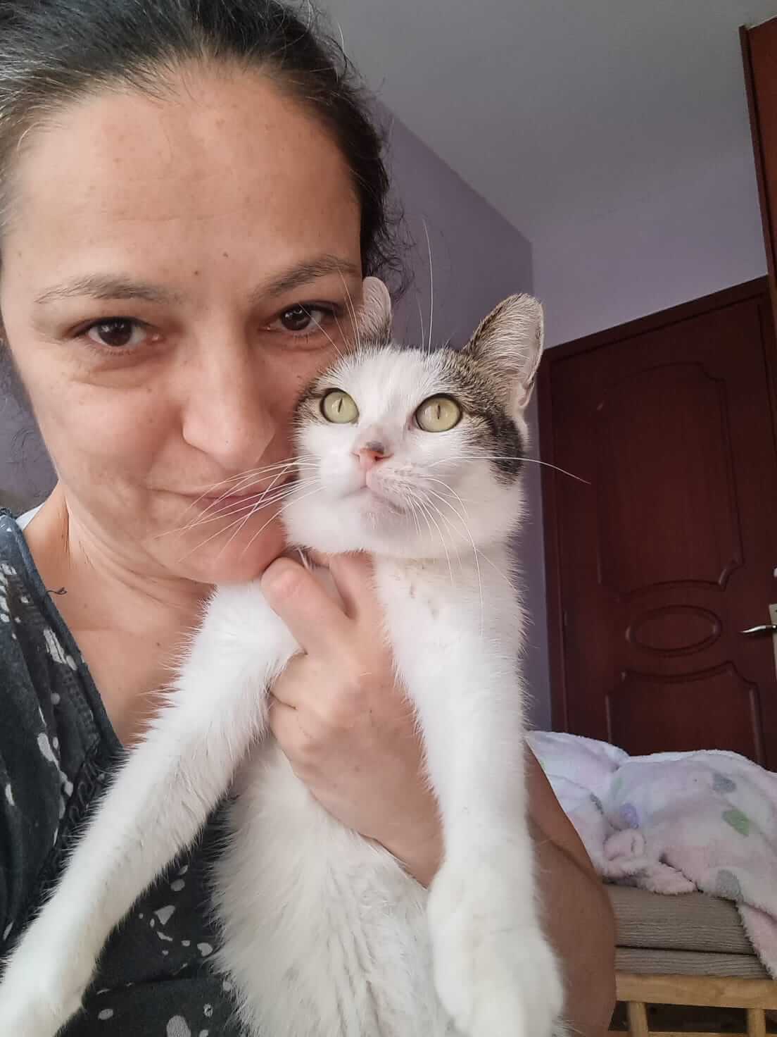 Liebe Katze adoptieren aus Athen