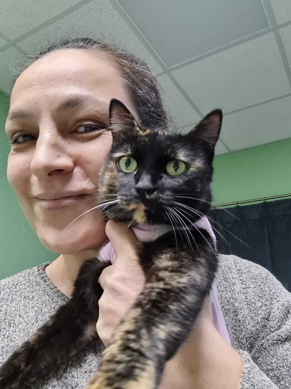 Sanfte Seele Katzendame Jasmin aus Athen adoptieren