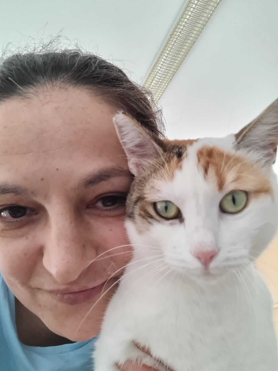Liebe Katze aus Athen sucht ein neues Zuhause