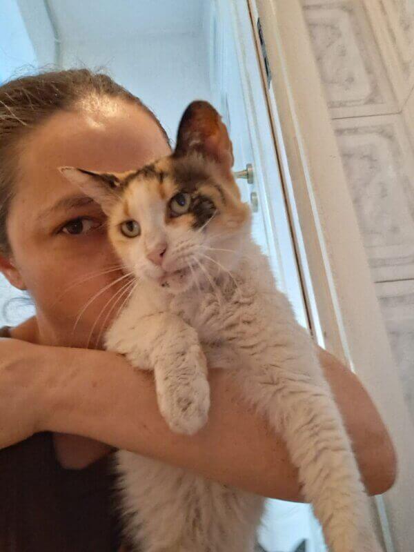 Katze-adoptieren-Athener-Cats-Lola