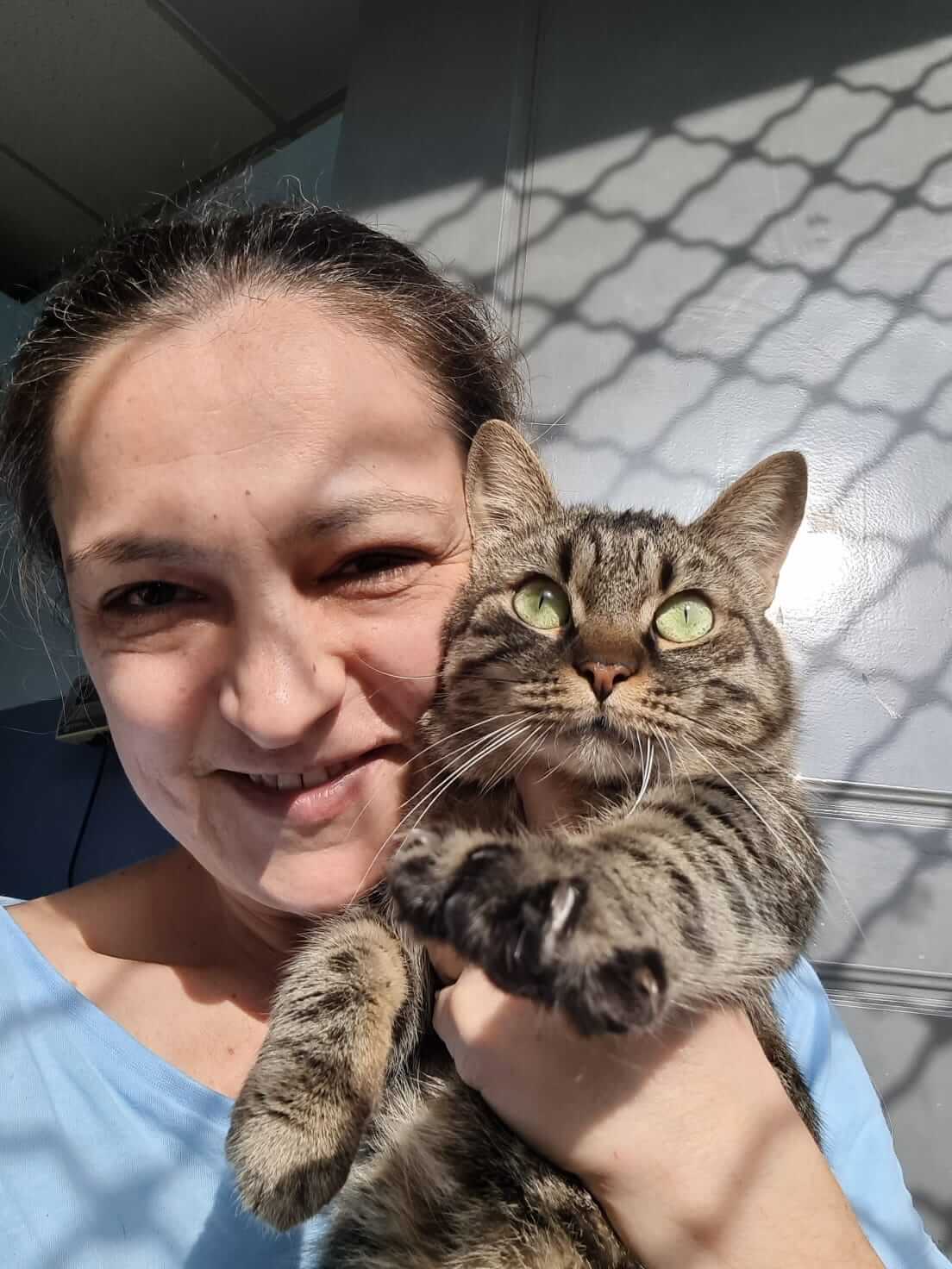Adoptiere eine Katze aus Griechenland