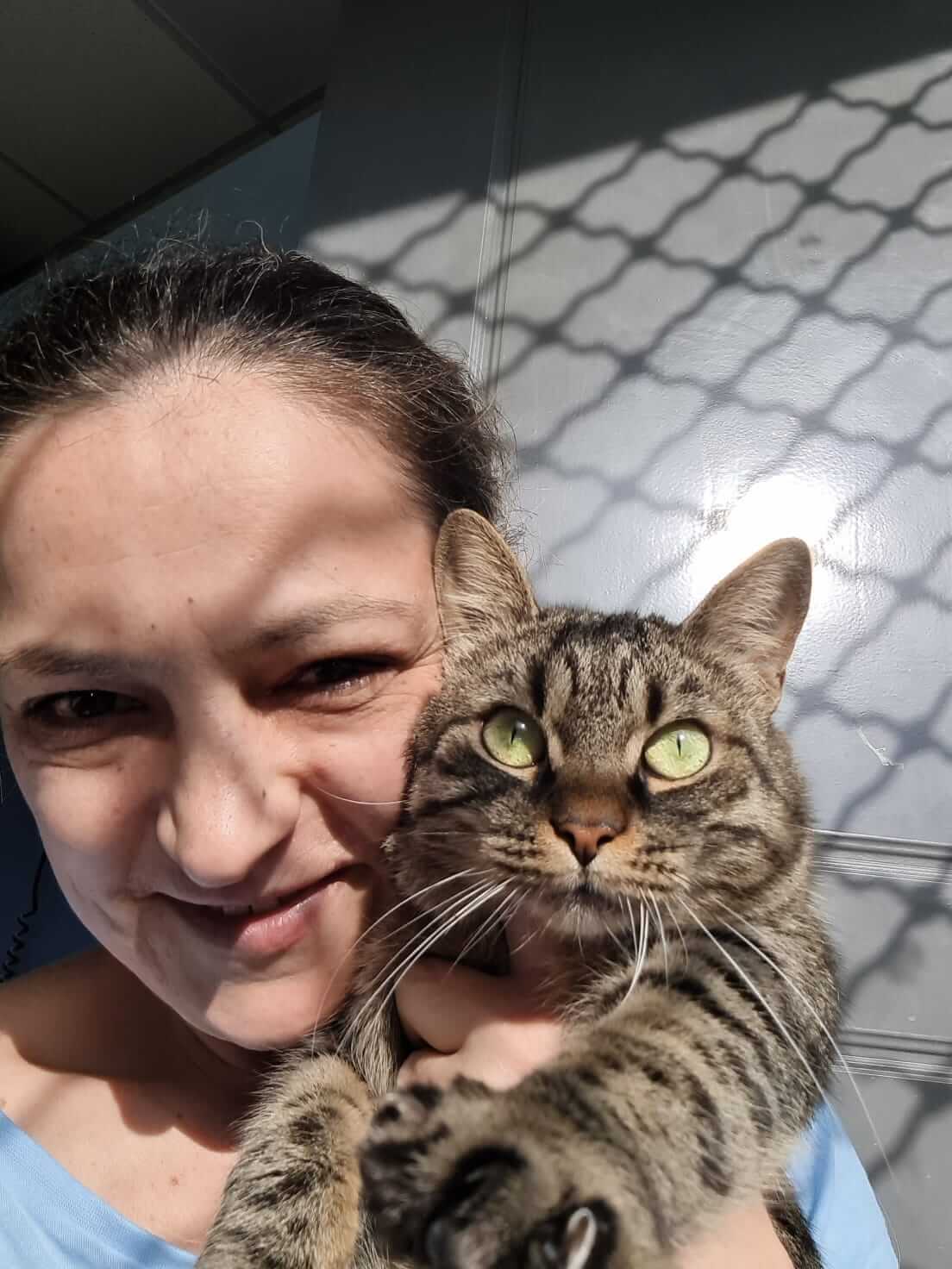 Nora Adoptiere eine Katze aus Griechenland