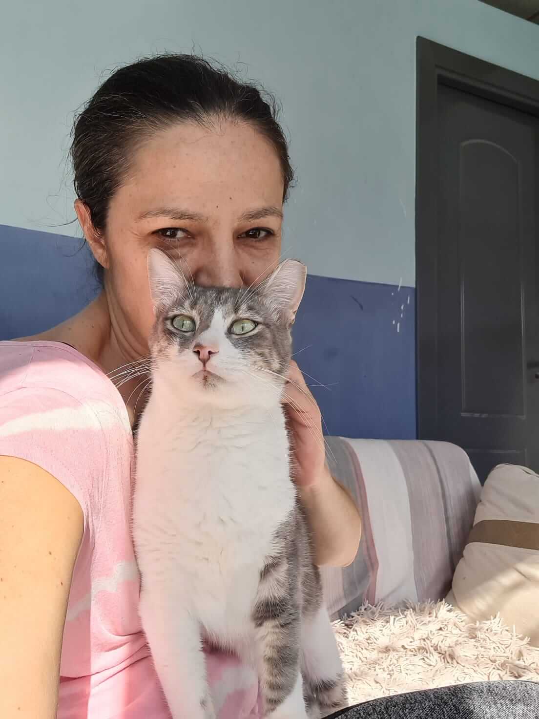 Teddy Adoptiere eine Katze aus Athen