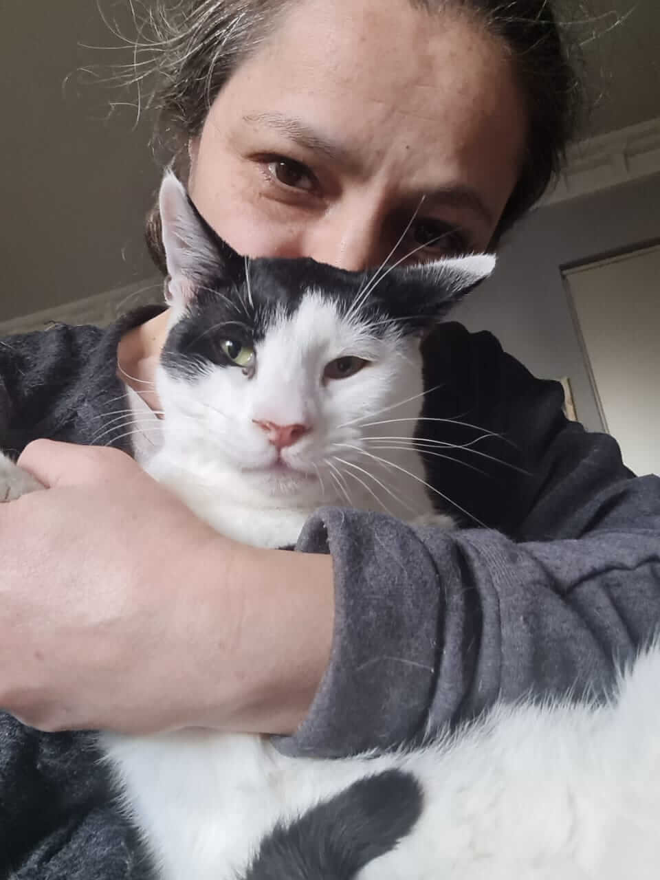Vitto lieber Kater aus Athen adoptieren