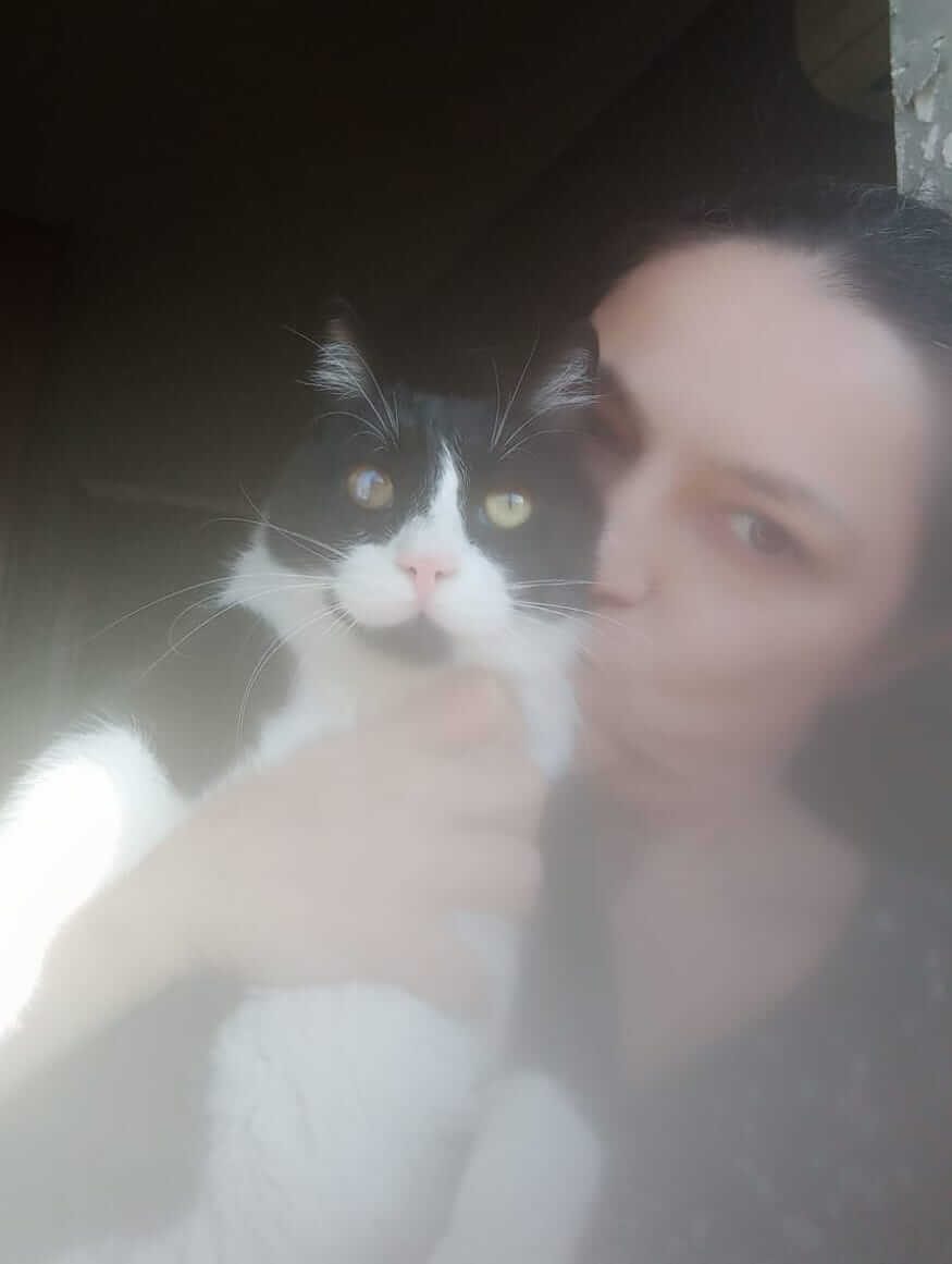 Katze in Not adoptieren