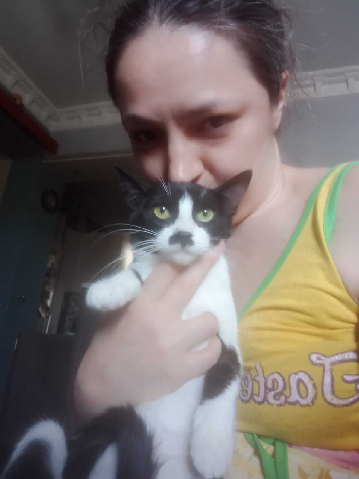 Schwarz-weisse Katze such neues Zuhause