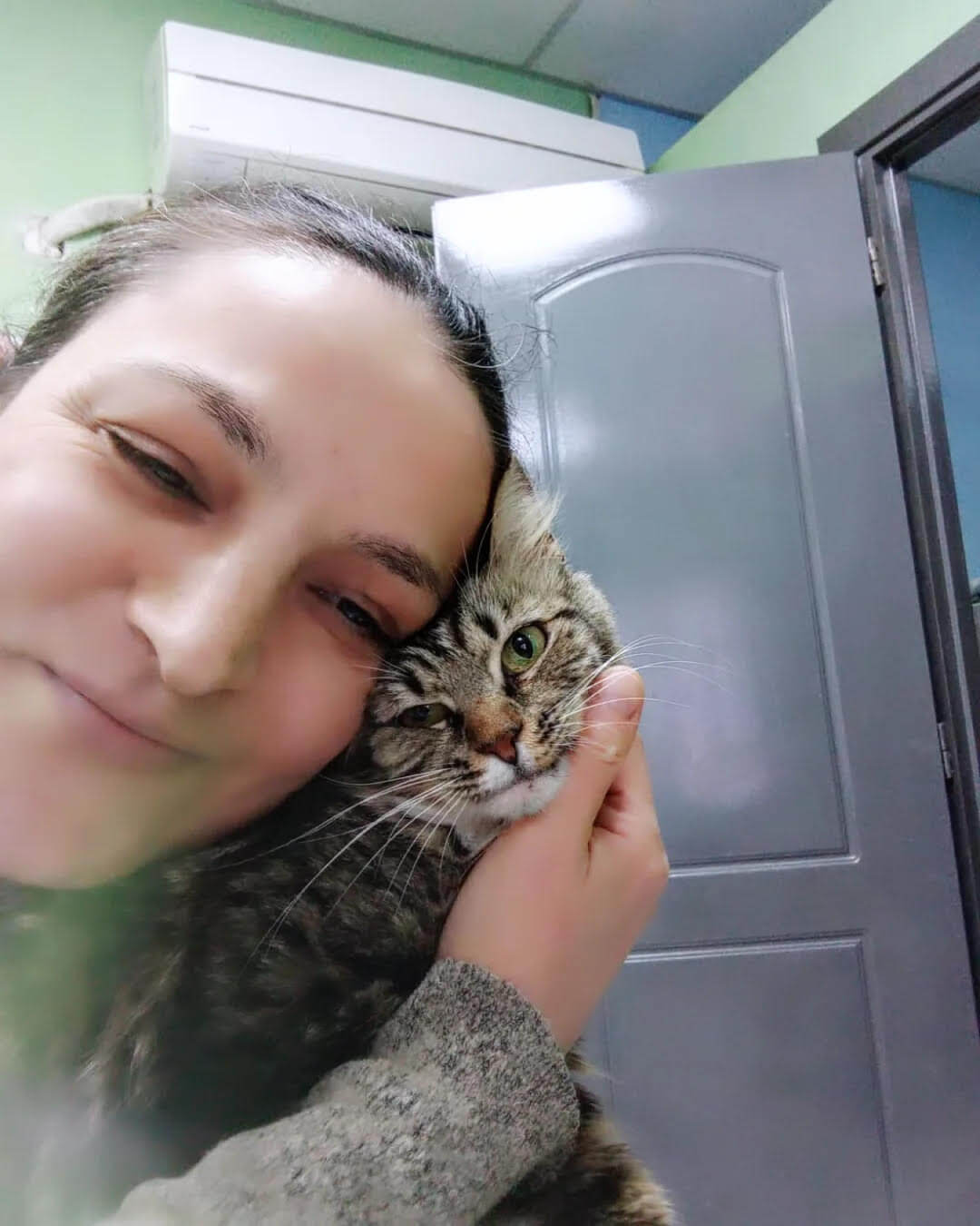Strassenkatze adoptieren Minna