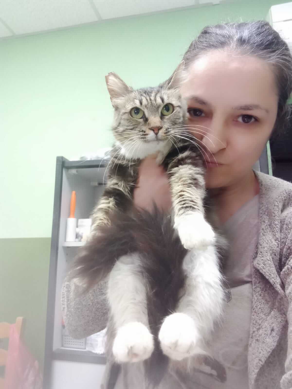 Strassenkatze adoptieren Minna