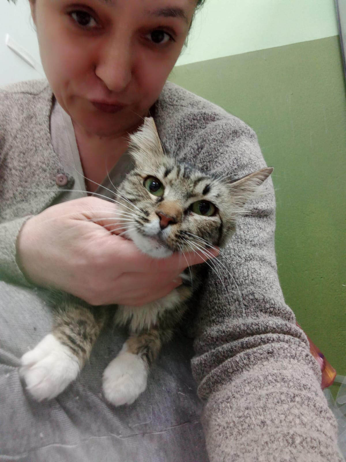 Strassenkatze adoptieren Minna