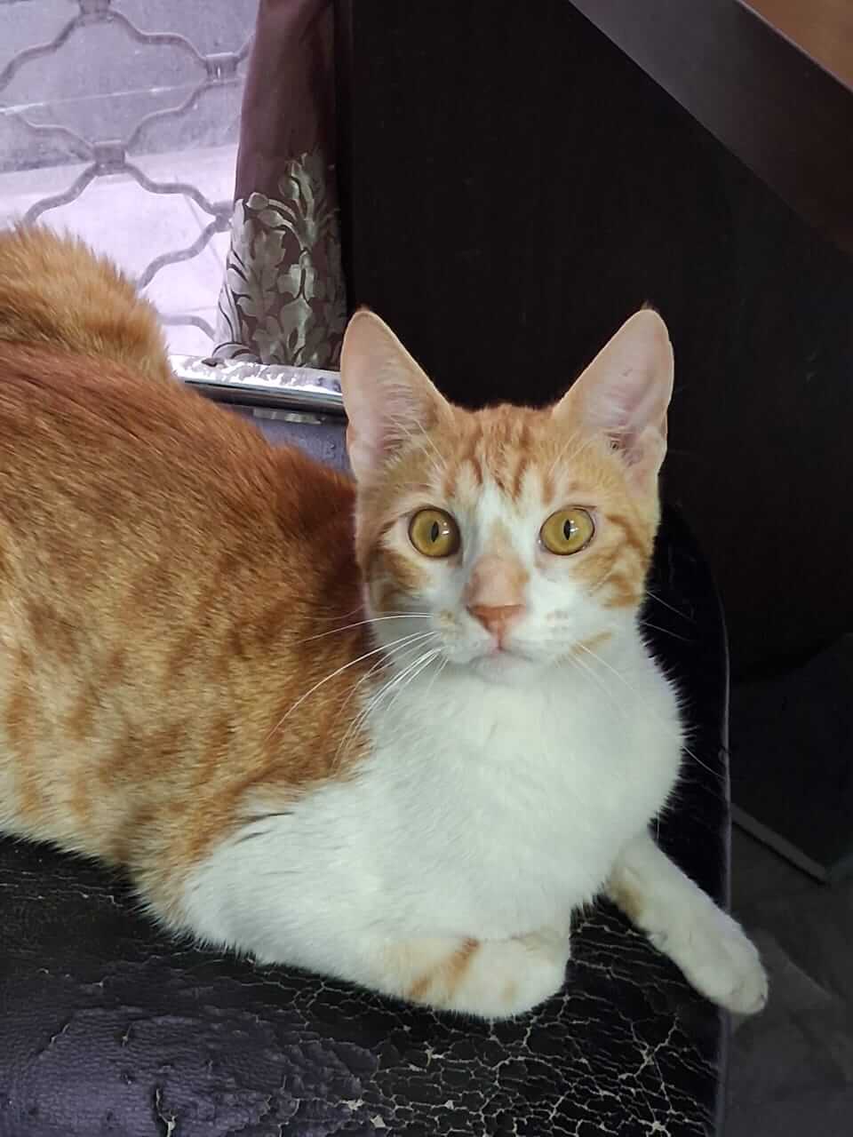 Euer Süßknopf Muffin