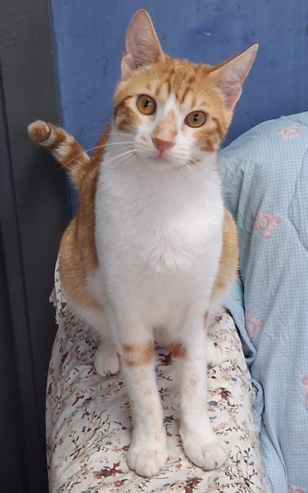 Euer Süßknopf Muffin